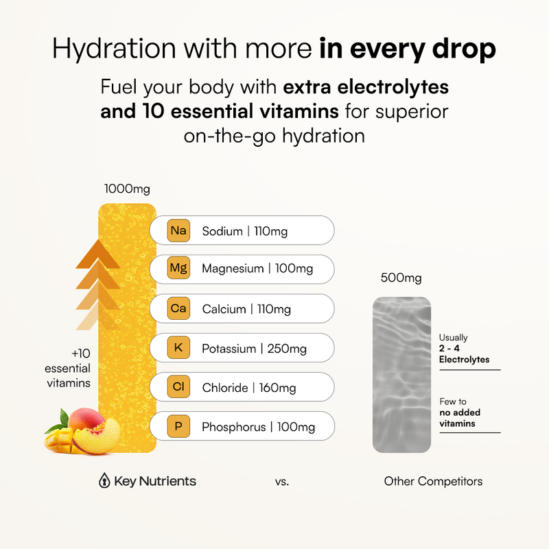 Electrolyte Recovery Plus Powder (Sugar-Free)-208