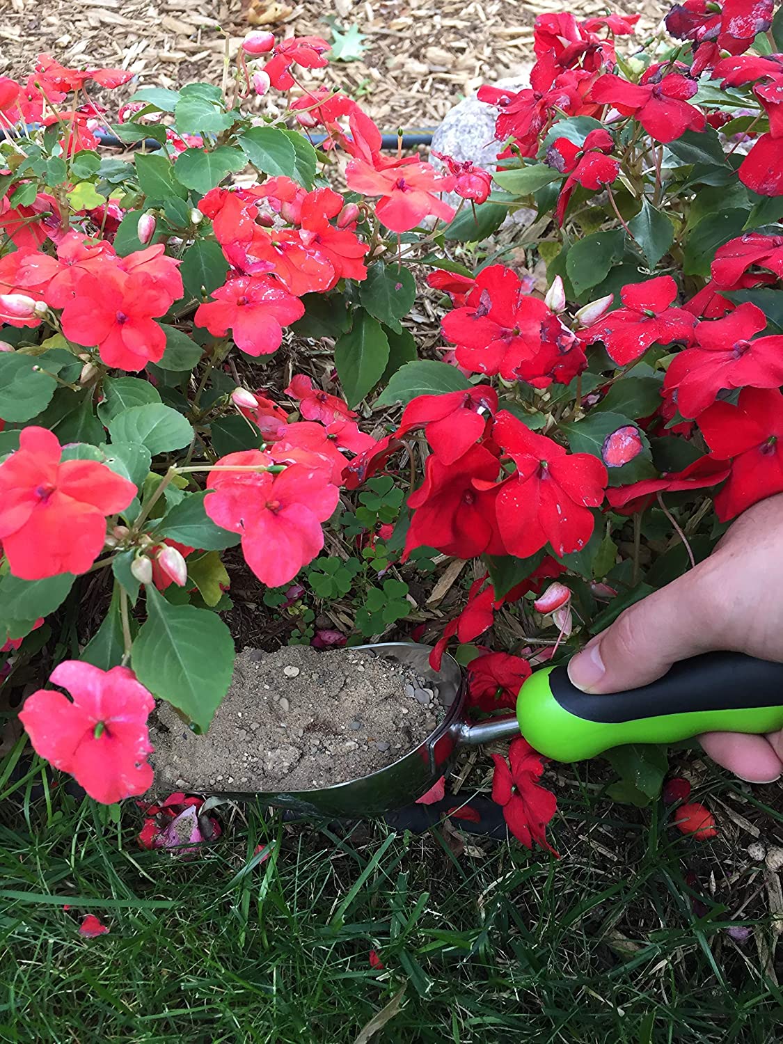 Stainless Steel Garden Scoop Trowel-5