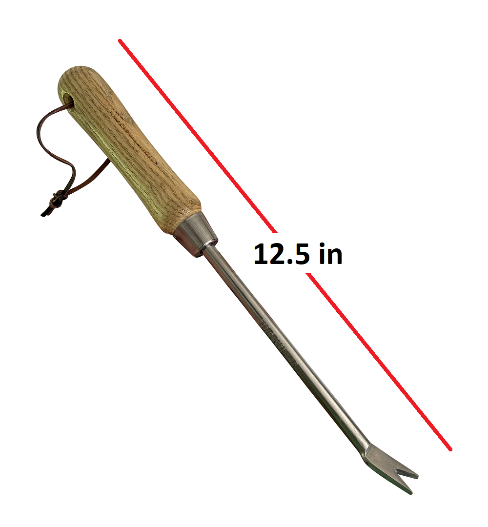 Stainless Steel Garden Dandelion Weeder (classic wood handle)-3