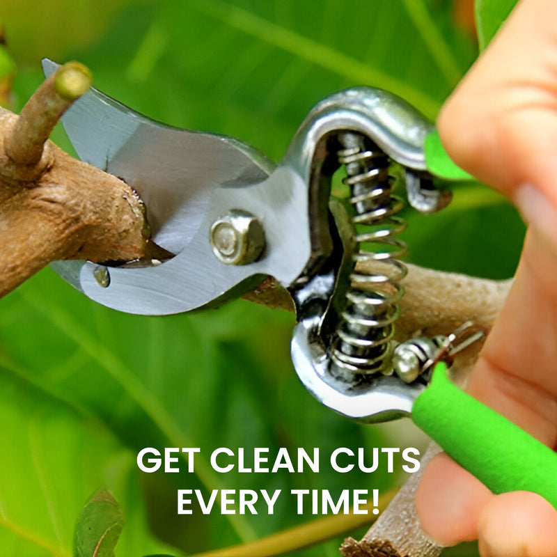 Classic Bypass Pruning Shears Clippers (Green)-2