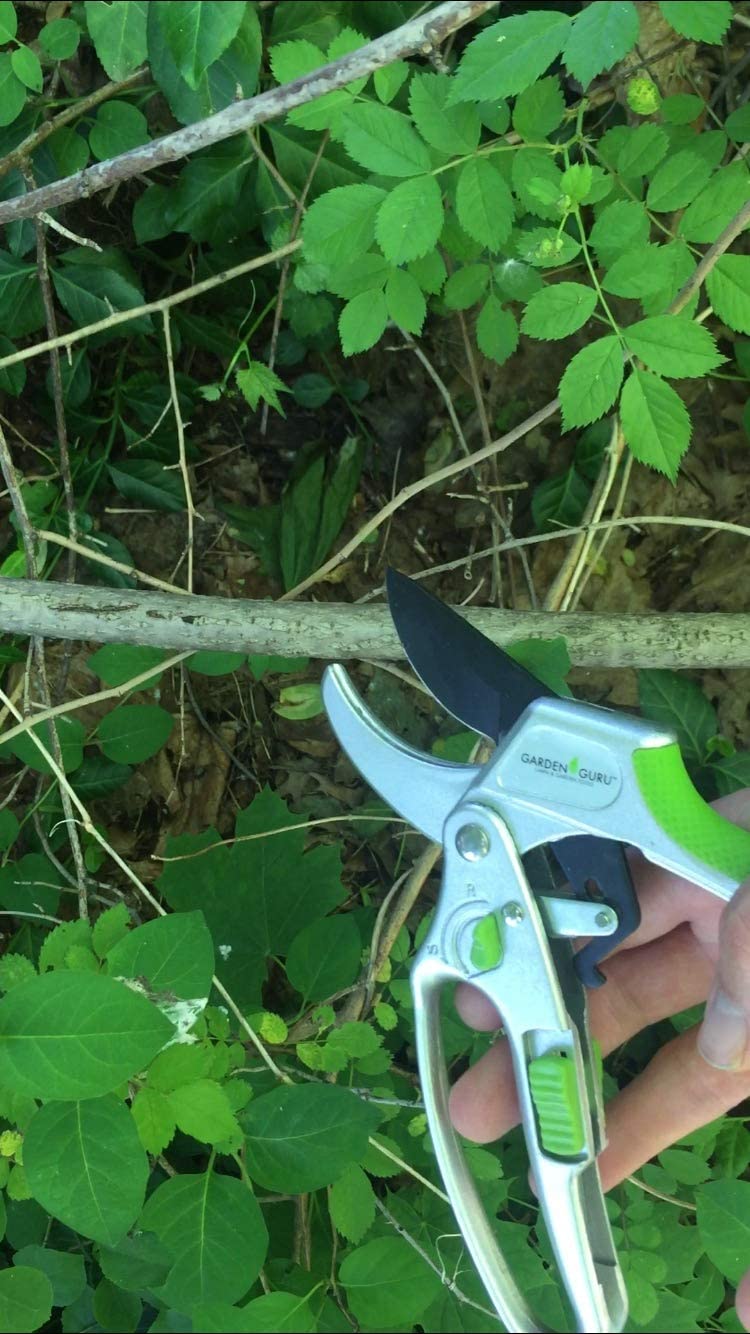 2-in-1 Garden Ratchet Pruning Shears Clippers-5