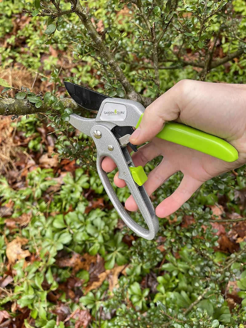 Ratchet Garden Pruning Shears Clippers-4