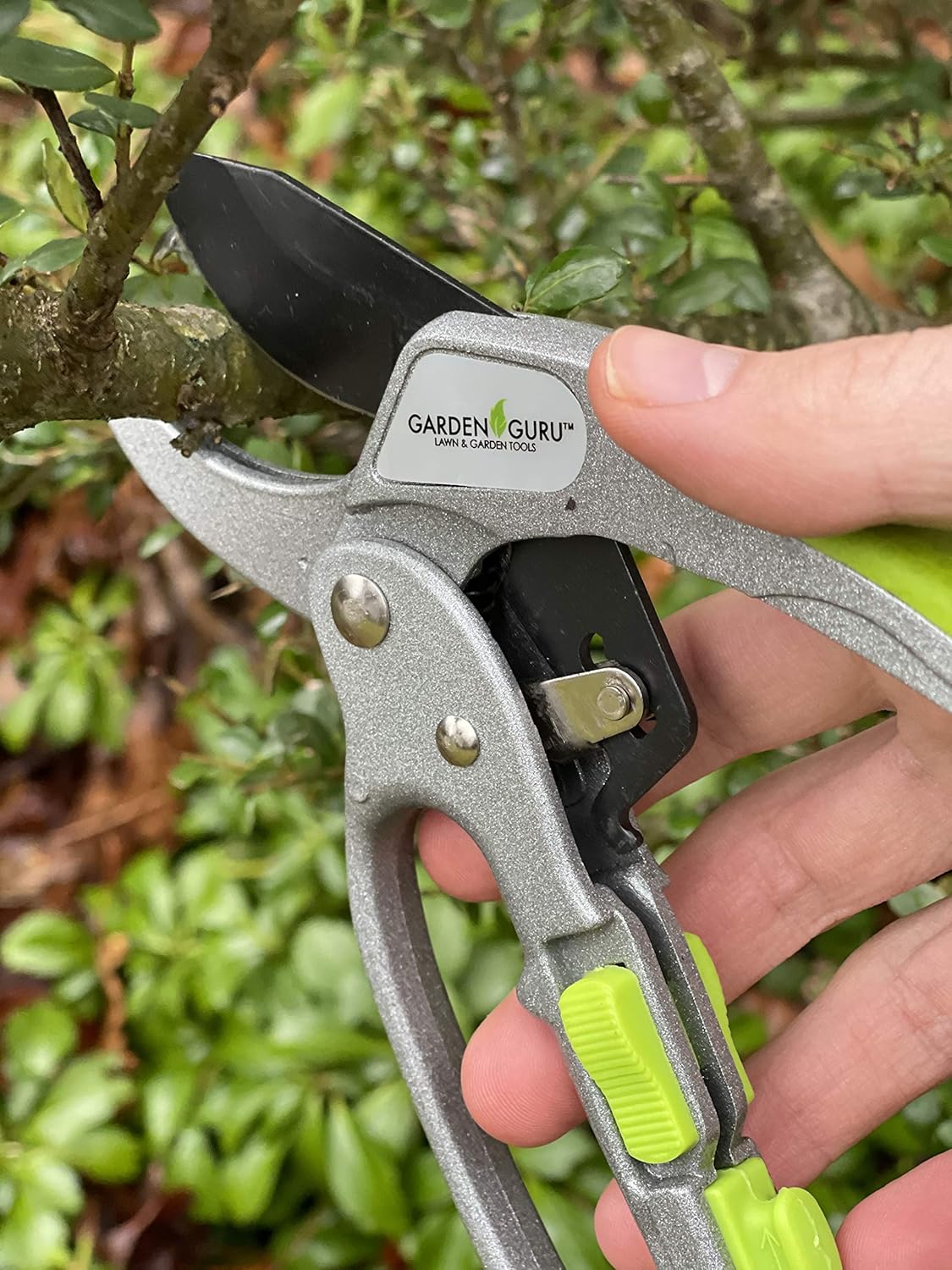 Ratchet Garden Pruning Shears Clippers Deluxe-2