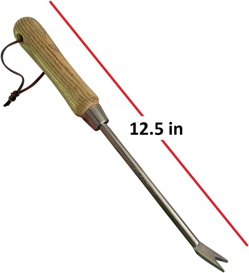 Stainless Steel Garden Dandelion Weeder (classic wood handle)-4