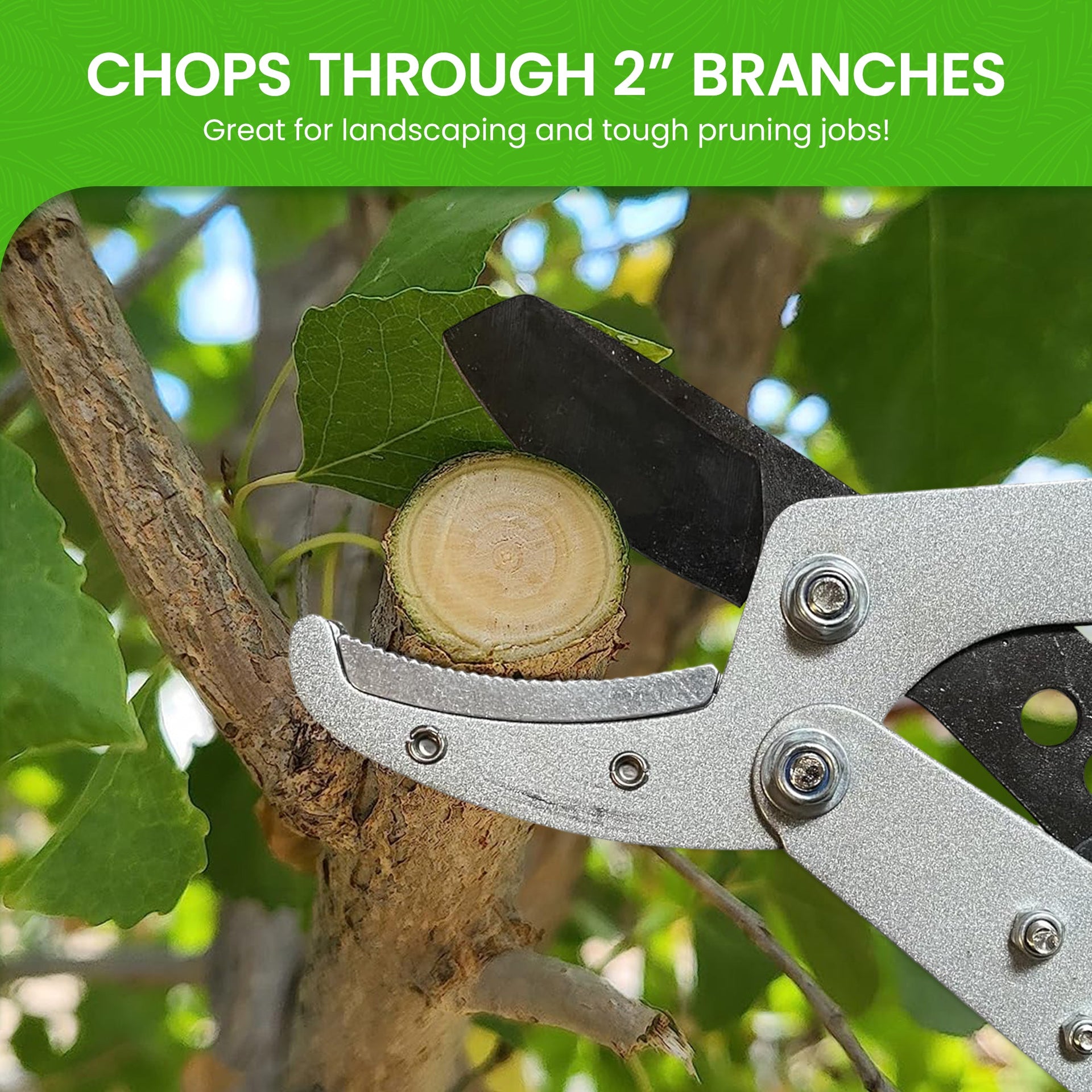 Extendable Anvil Loppers Tree Trimmers