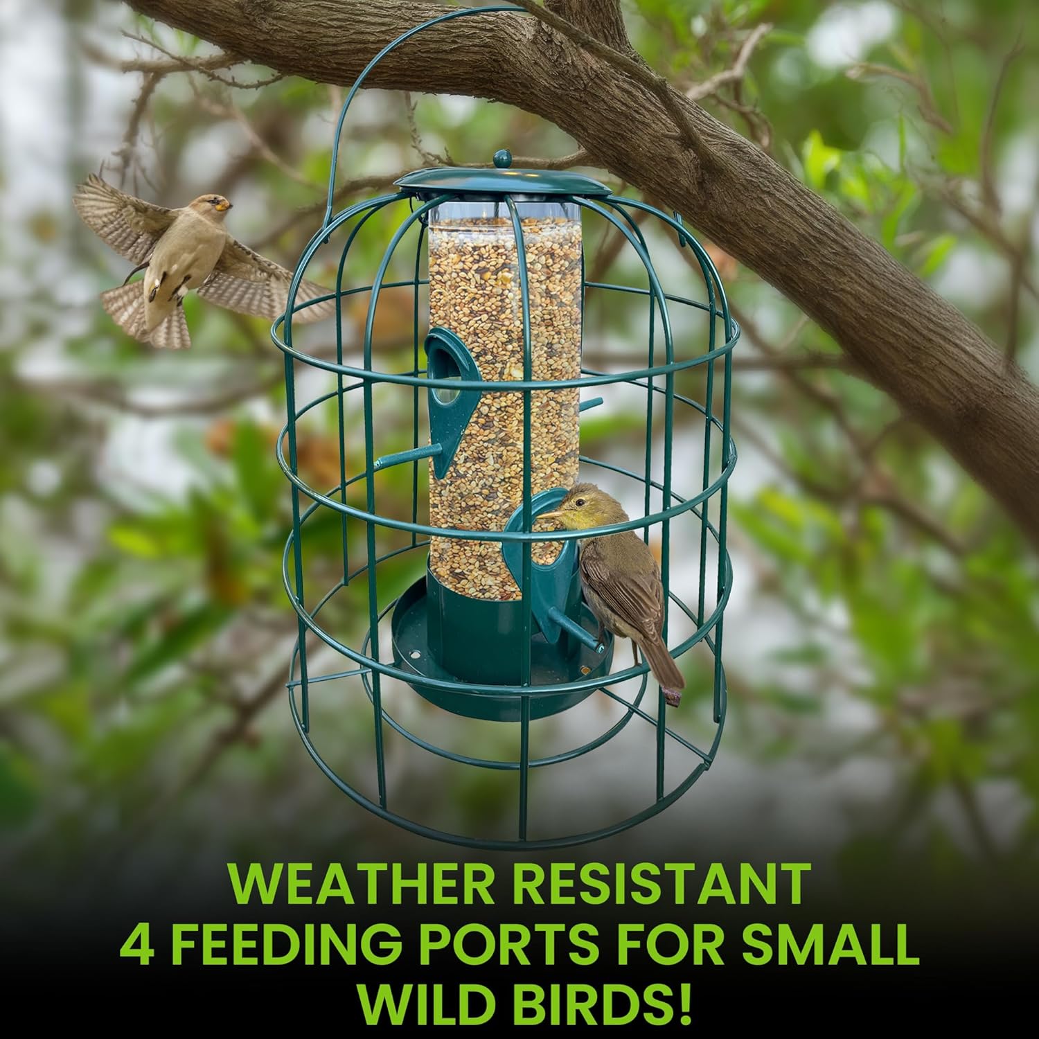 Squirrel Resistant Tube Bird Feeder-2