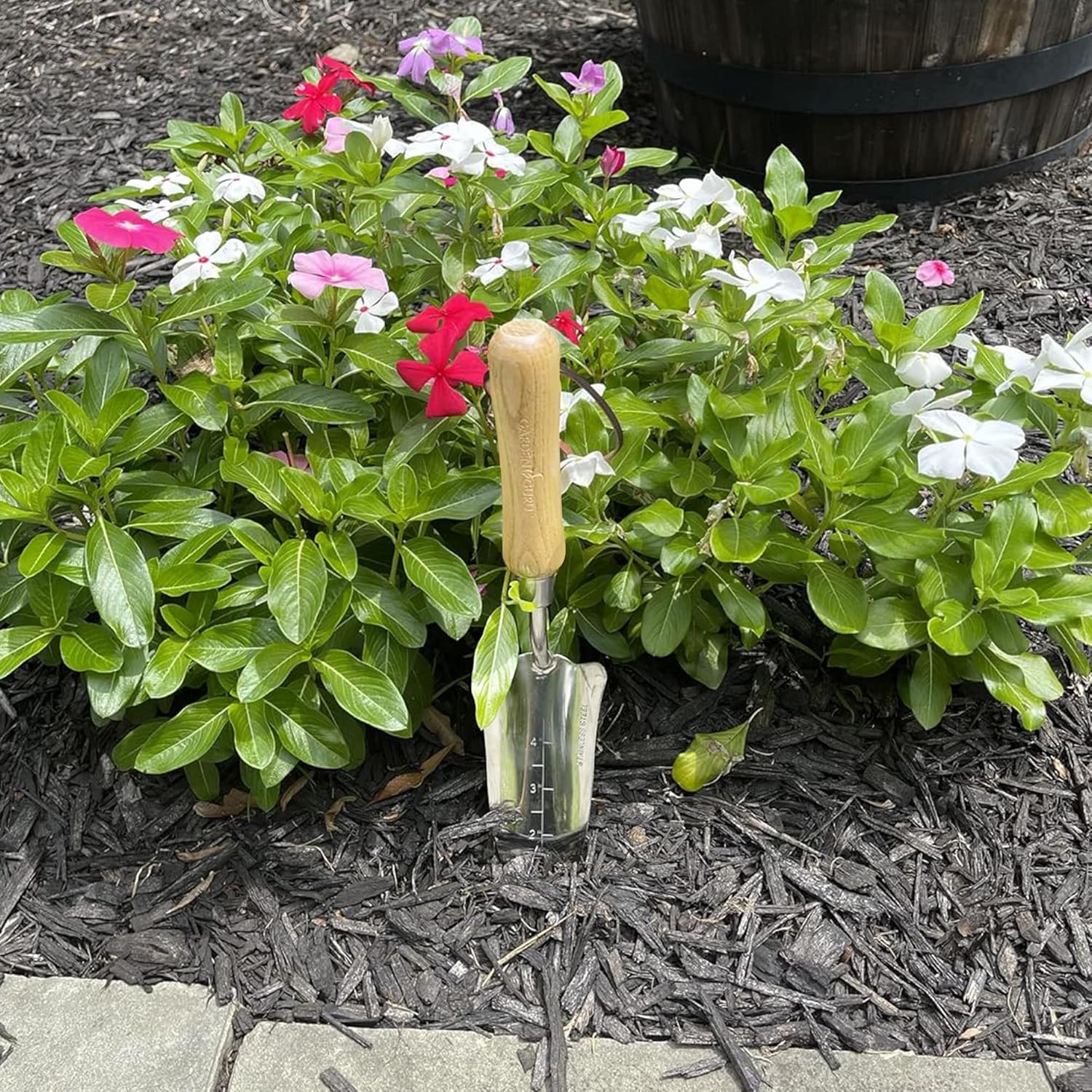 Stainless Steel Transplanter Trowel (classic wood handle)