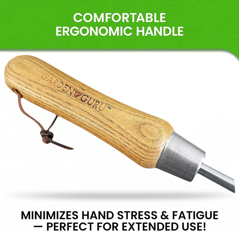 Stainless Steel Transplanter Trowel (classic wood handle)-4