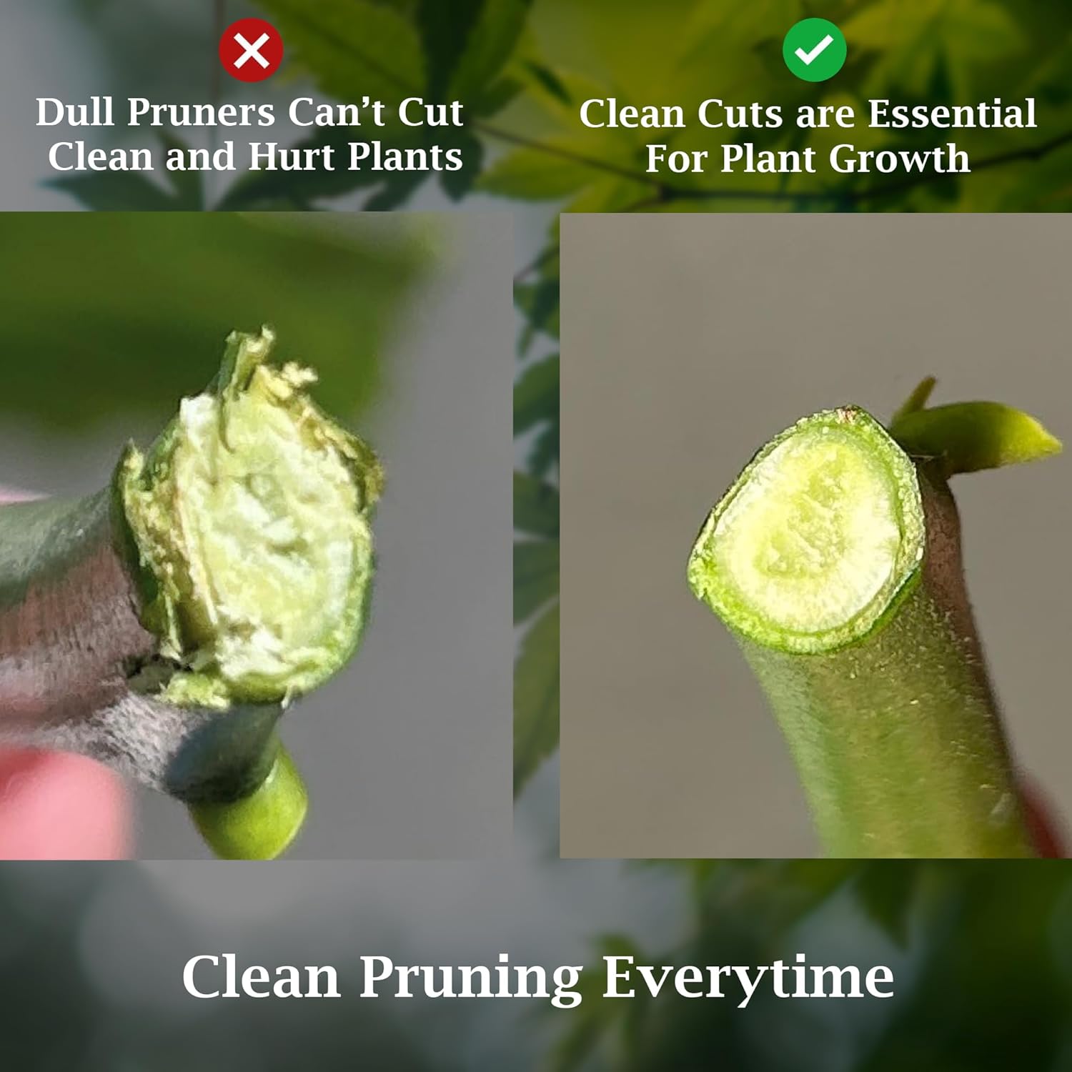 Garden Bypass Pruner Elite-5