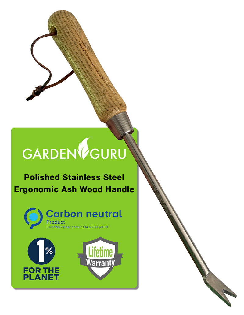 Stainless Steel Garden Dandelion Weeder (classic wood handle)-2