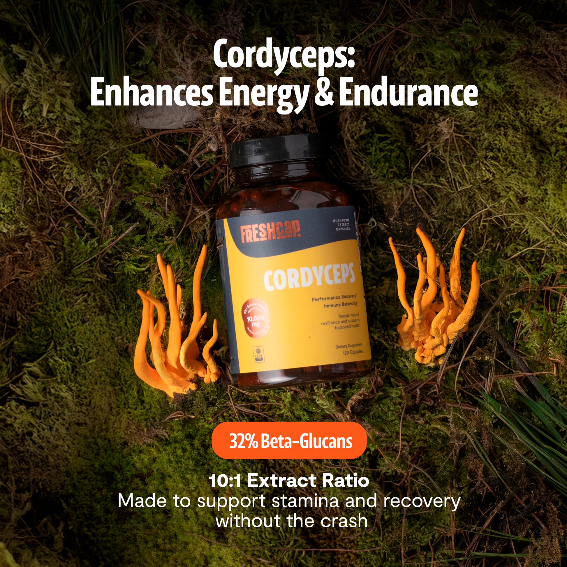 Organic Cordyceps Mushroom Supplement Capsules-12