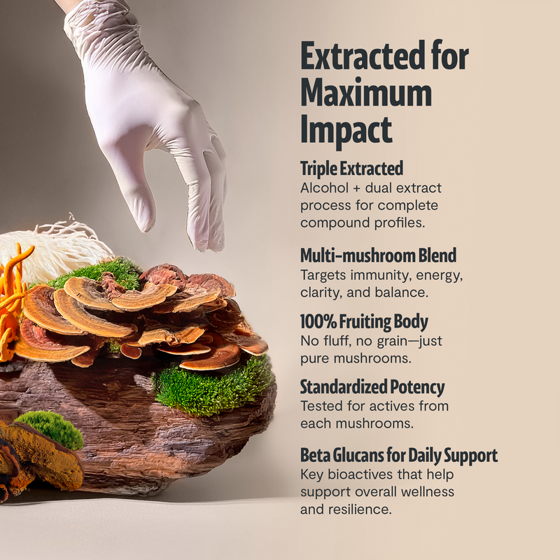 Organic Mushroom Extract Powder Blend-18