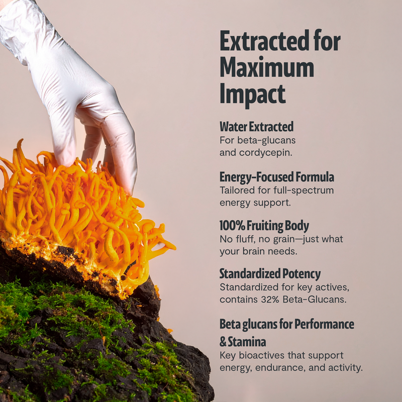 Organic Cordyceps Mushroom Supplement Capsules-9