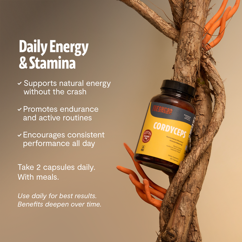 Organic Cordyceps Mushroom Supplement Capsules-2