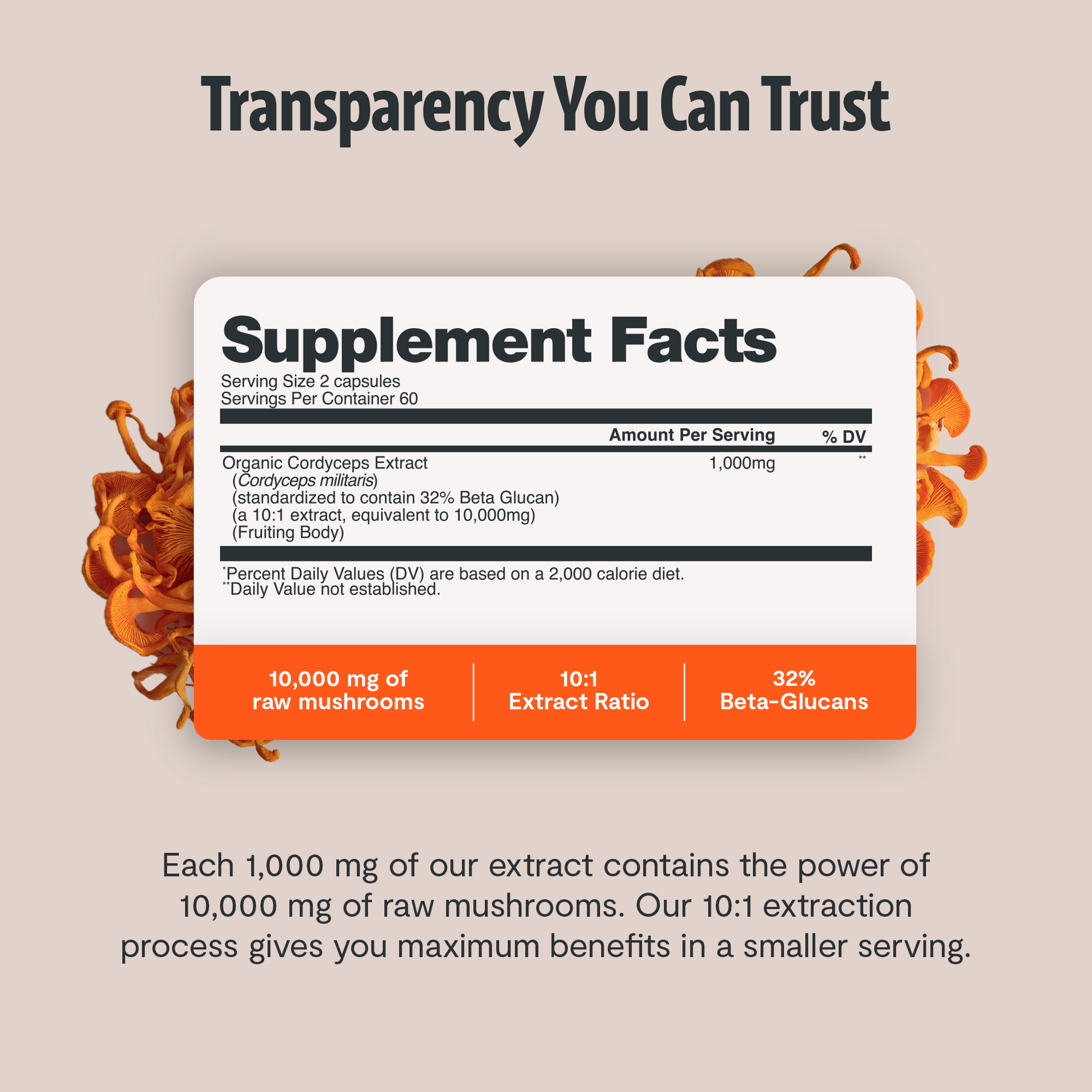 Organic Cordyceps Mushroom Supplement Capsules-6