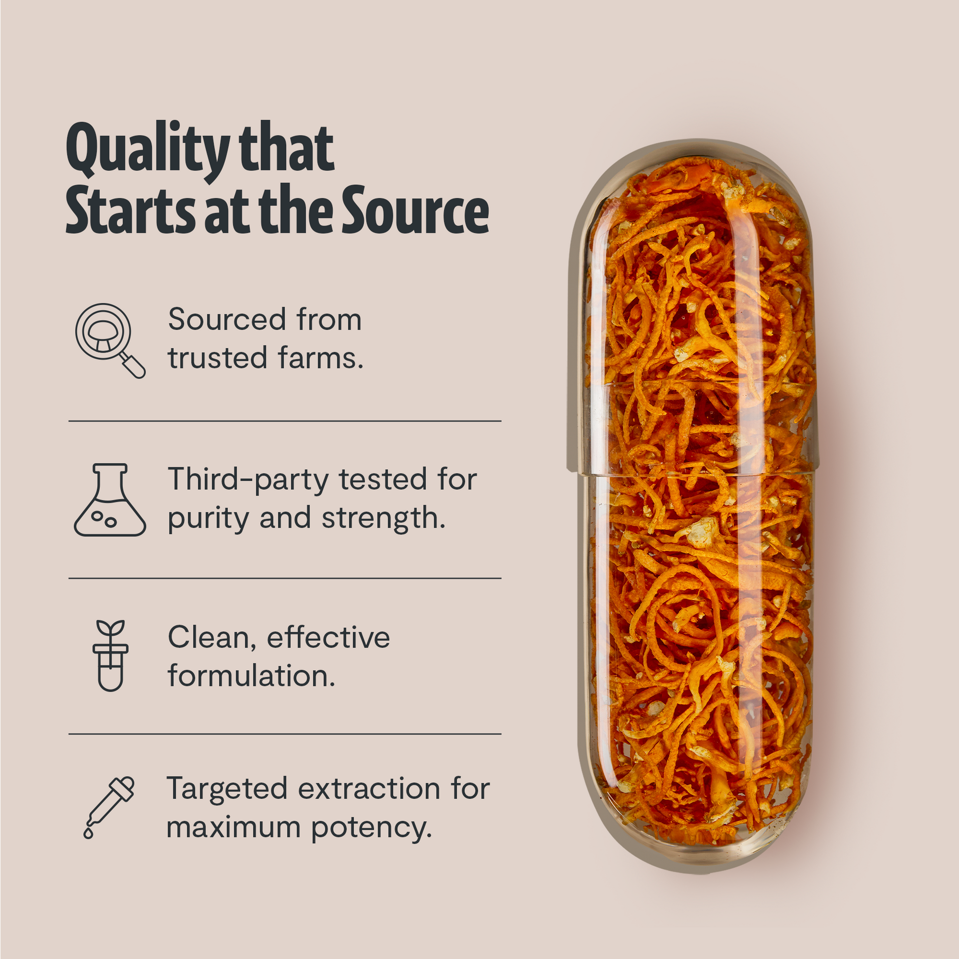 Organic Cordyceps Mushroom Supplement Capsules-8