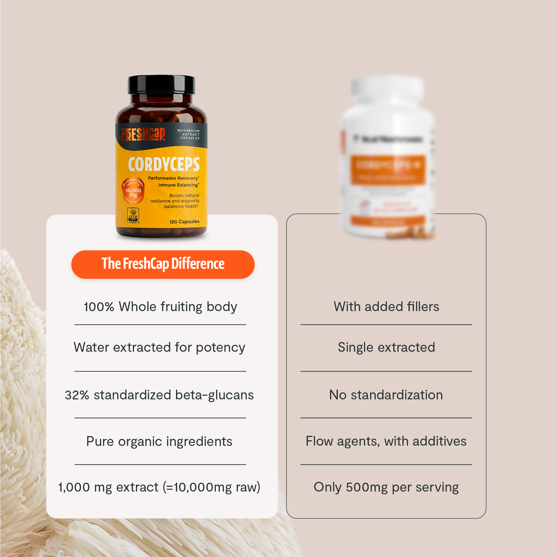 Organic Cordyceps Mushroom Supplement Capsules-7
