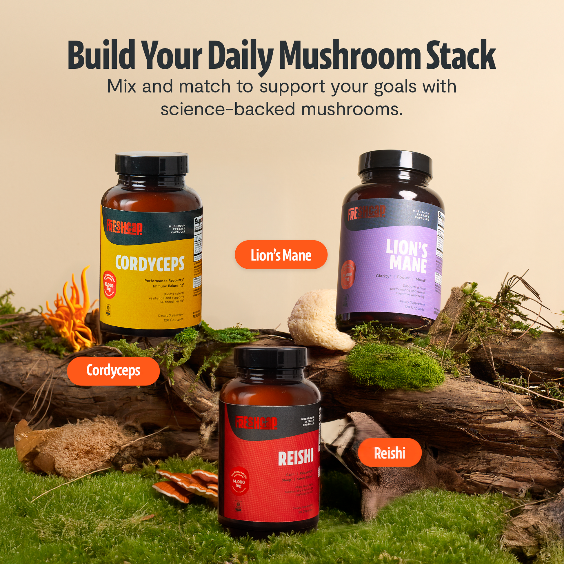 Organic Cordyceps Mushroom Supplement Capsules-11