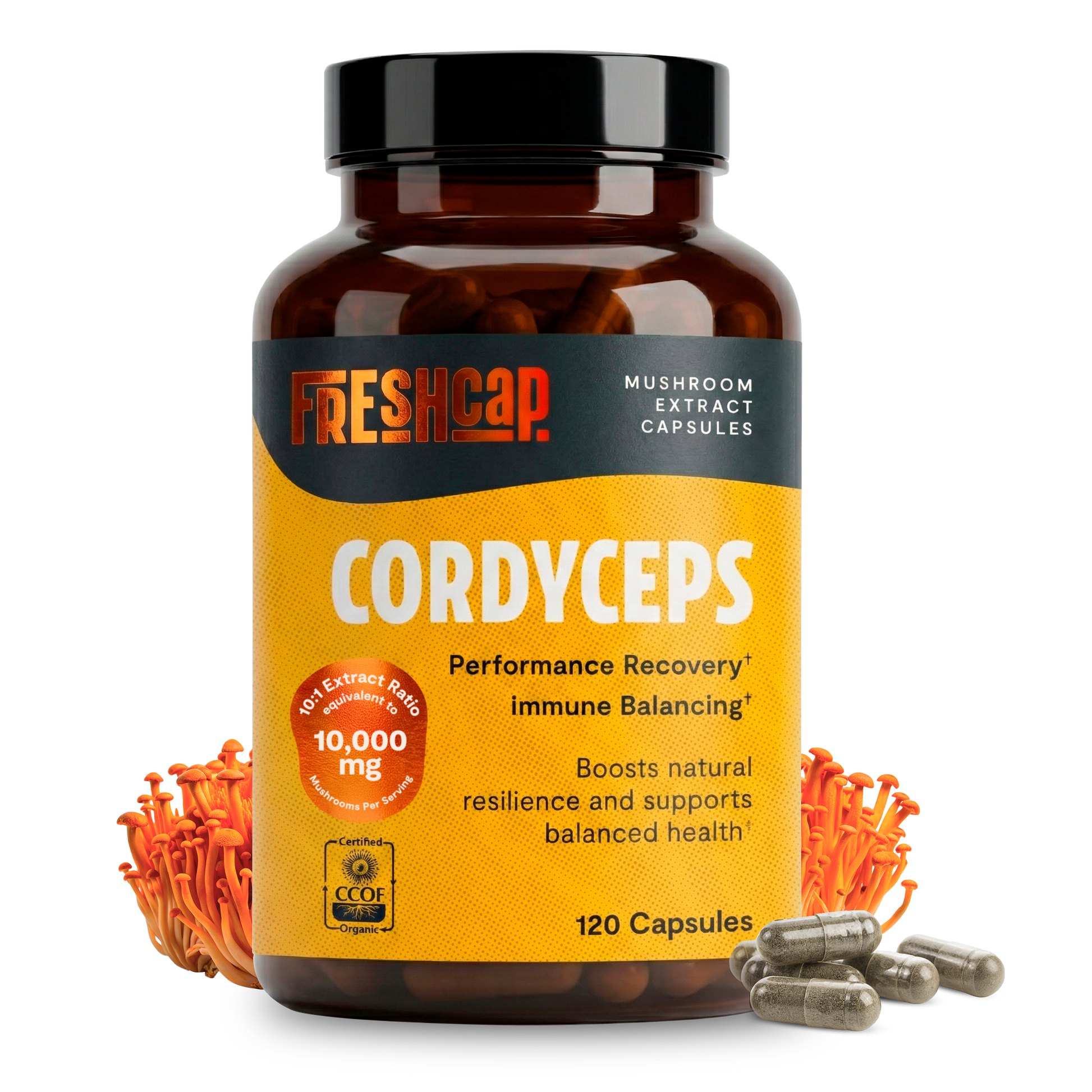 Organic Cordyceps Mushroom Supplement Capsules-1