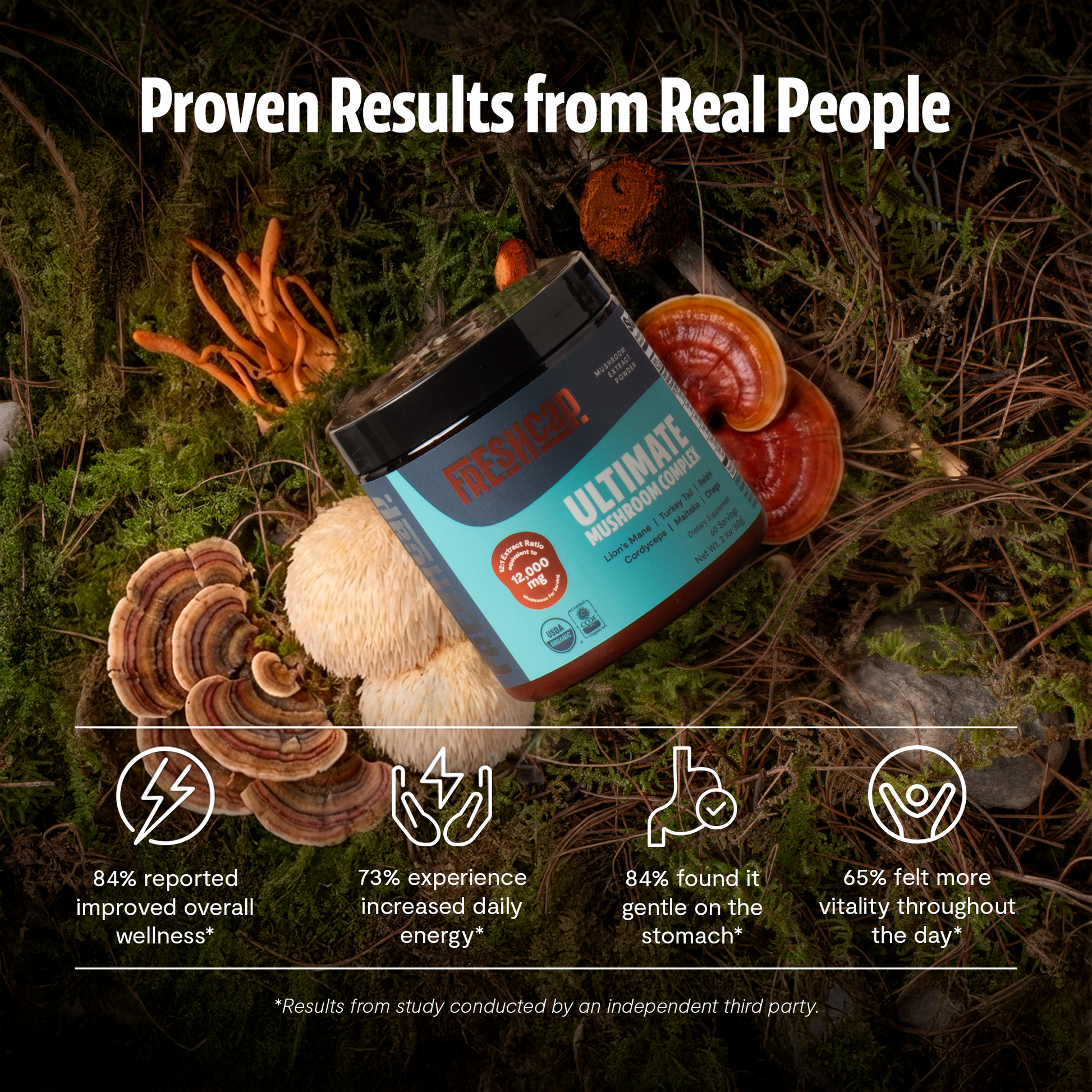 Organic Mushroom Extract Powder Blend-28