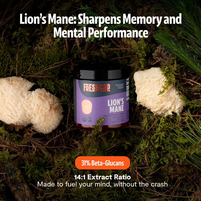 Organic Mushroom Complex Supplement Capsules-43