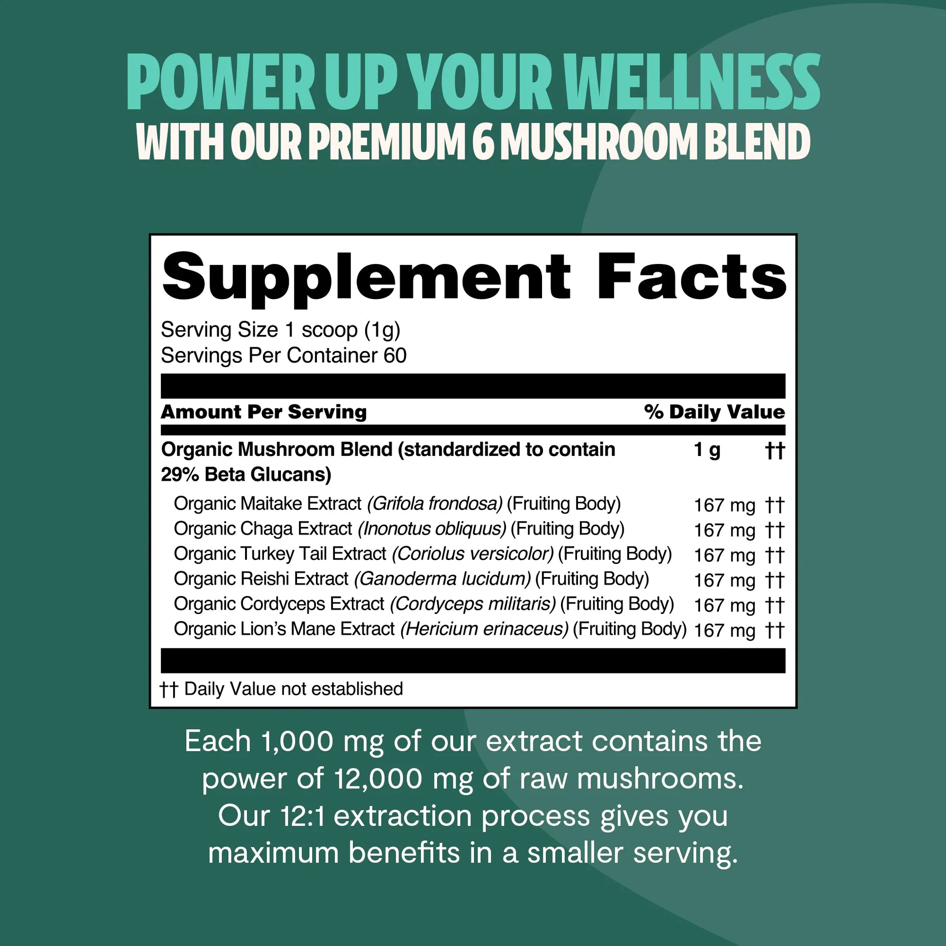 Organic Mushroom Extract Powder Blend-10