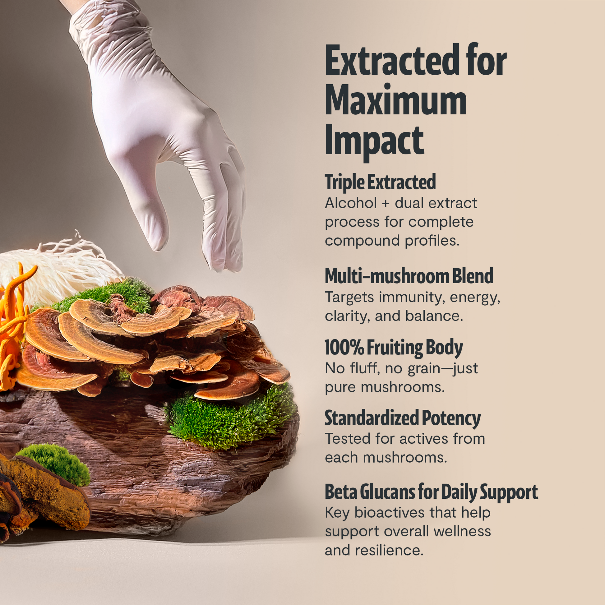 Organic Mushroom Complex Supplement Capsules-56