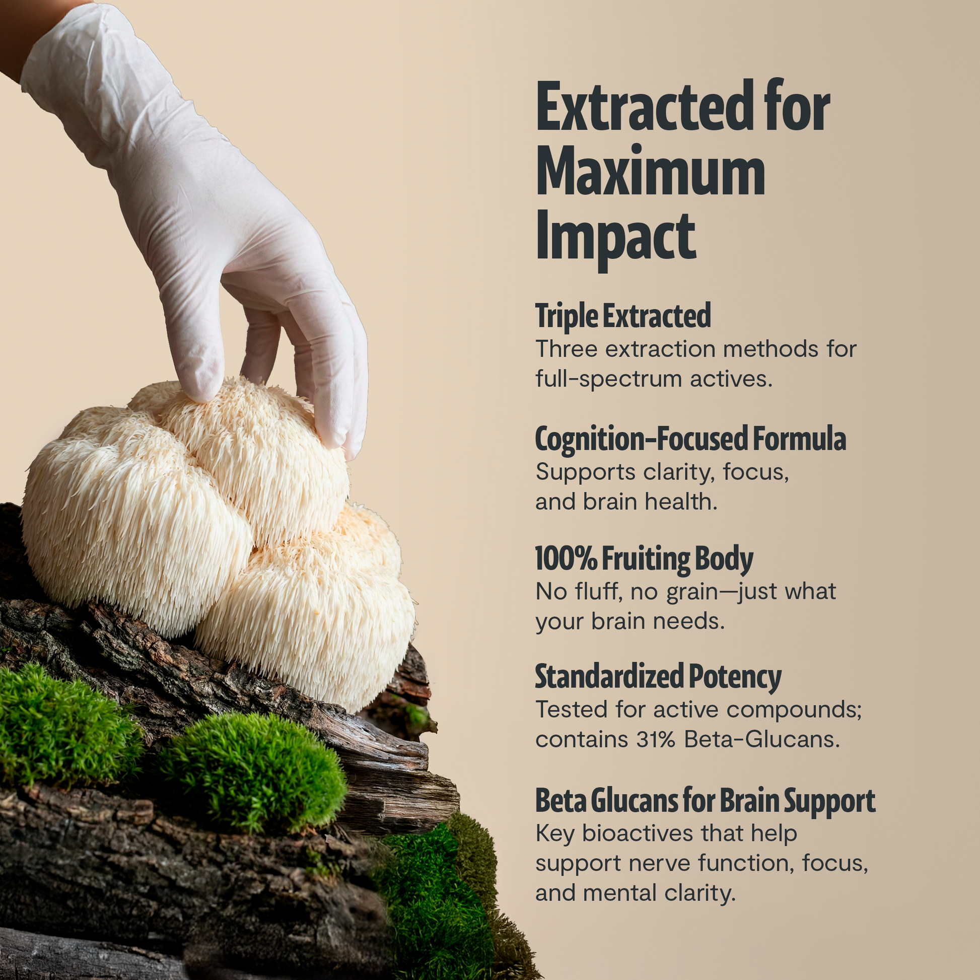 Organic Mushroom Complex Supplement Capsules-40