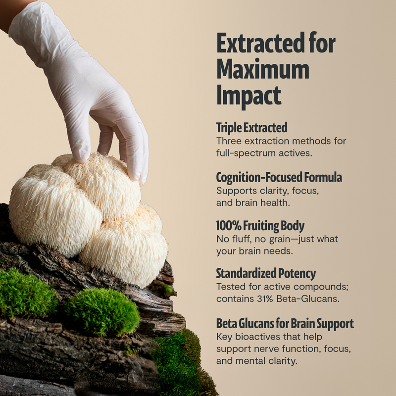 Organic Mushroom Complex Supplement Capsules-40