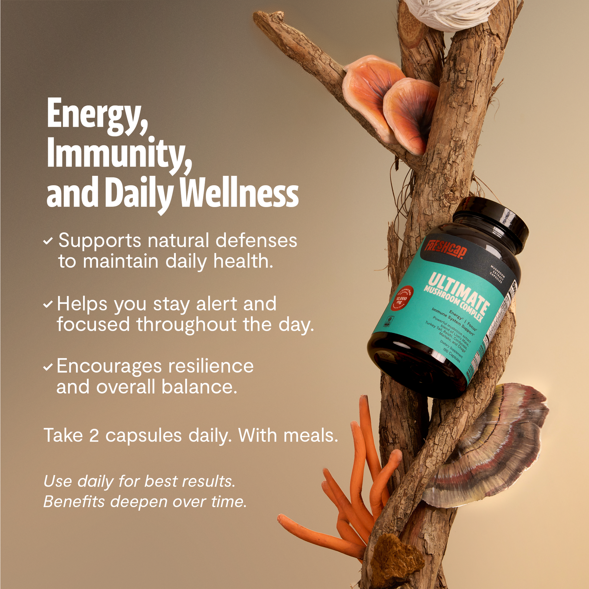 Organic Mushroom Complex Supplement Capsules-59