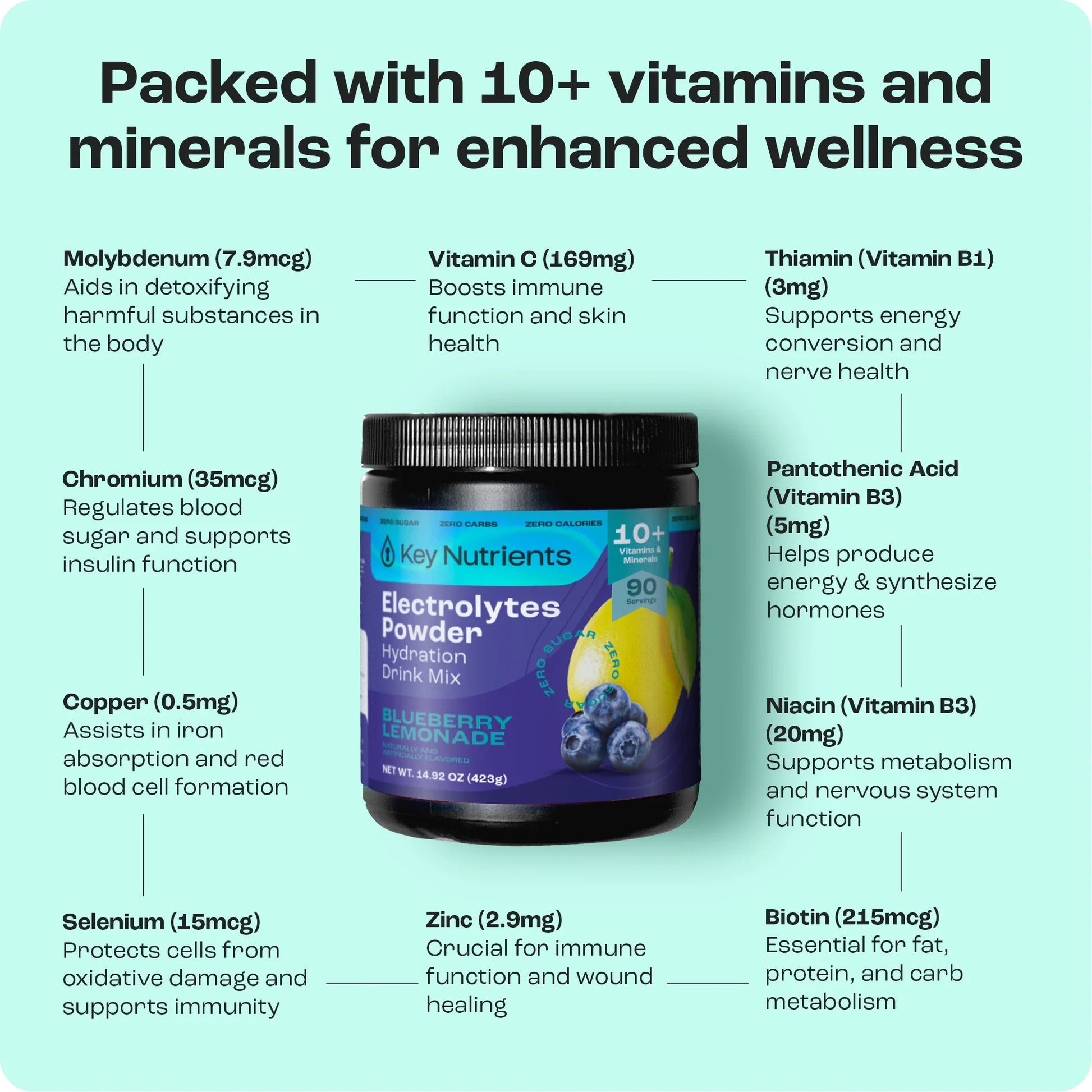 Electrolyte Recovery Plus Powder (Sugar-Free)-109