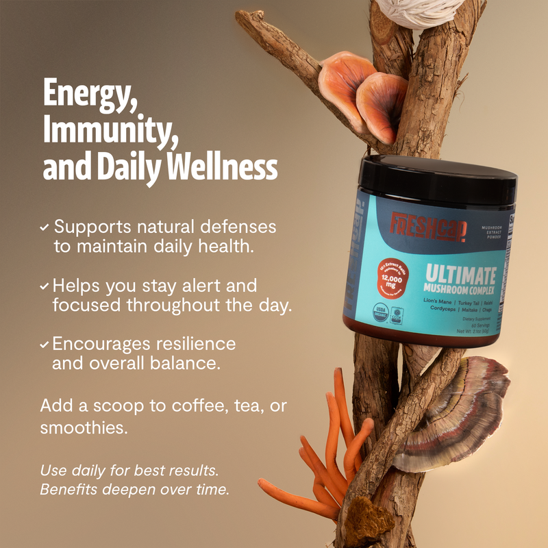 Organic Mushroom Extract Powder Blend-27