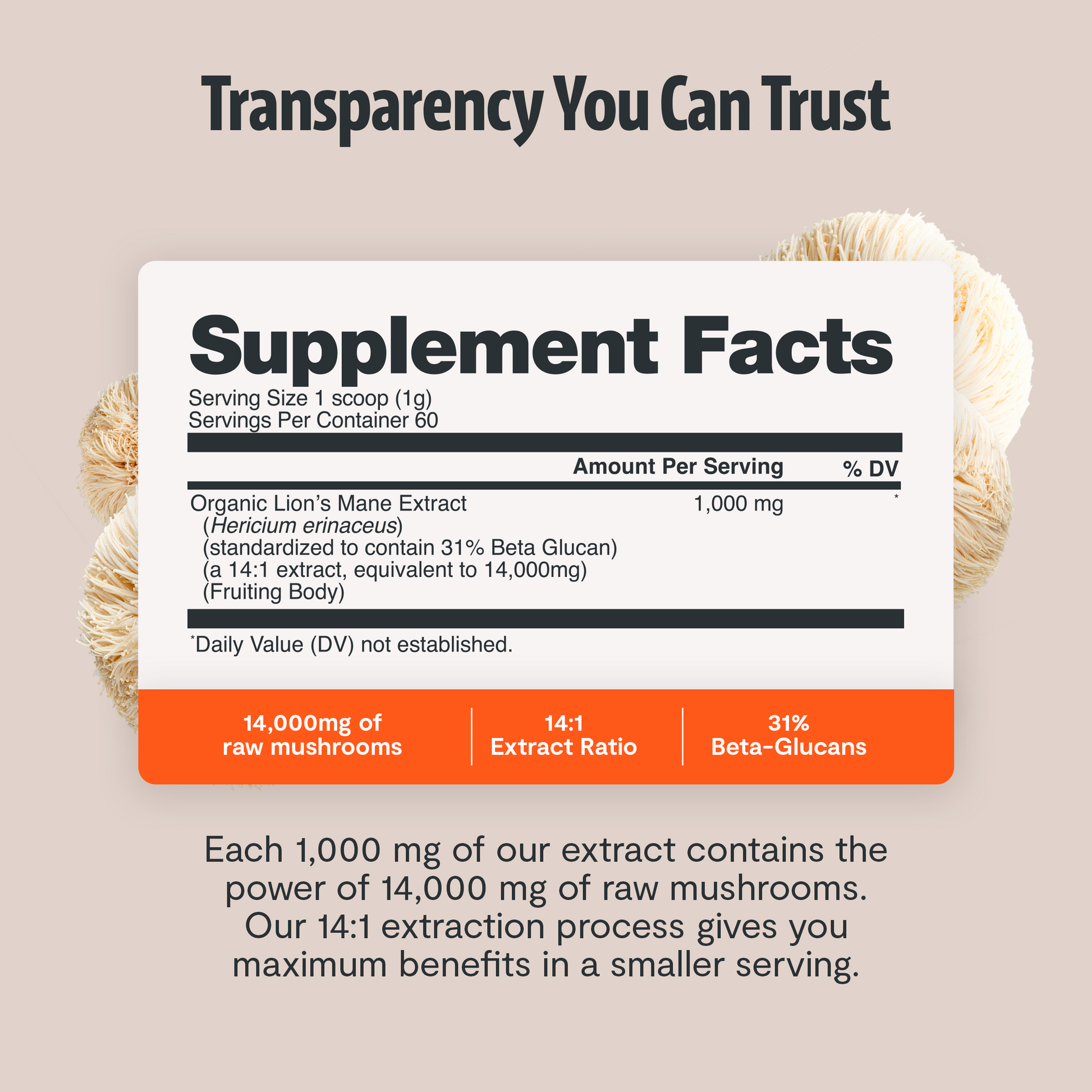 Organic Mushroom Complex Supplement Capsules-36