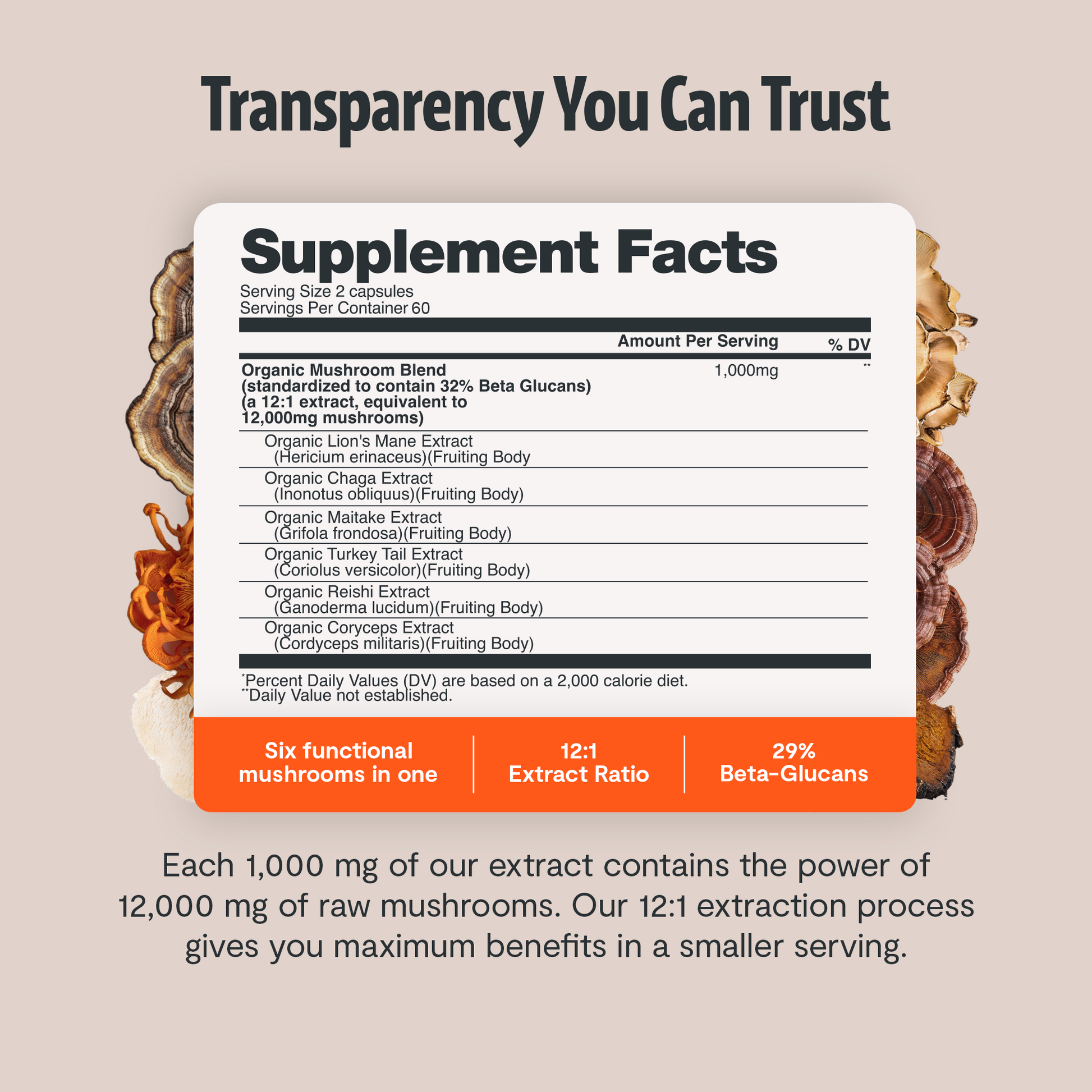 Organic Mushroom Complex Supplement Capsules-44