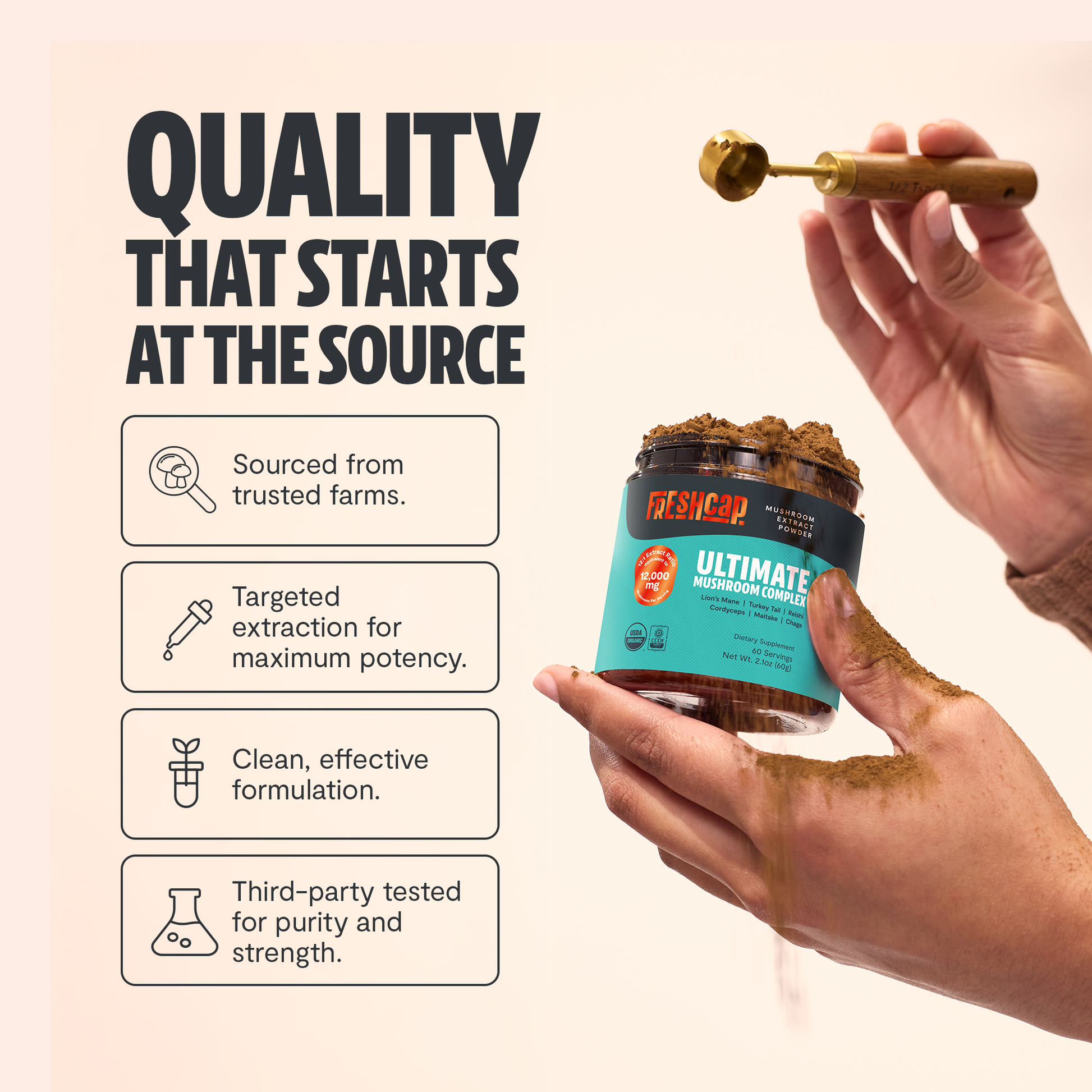 Organic Mushroom Extract Powder Blend-6