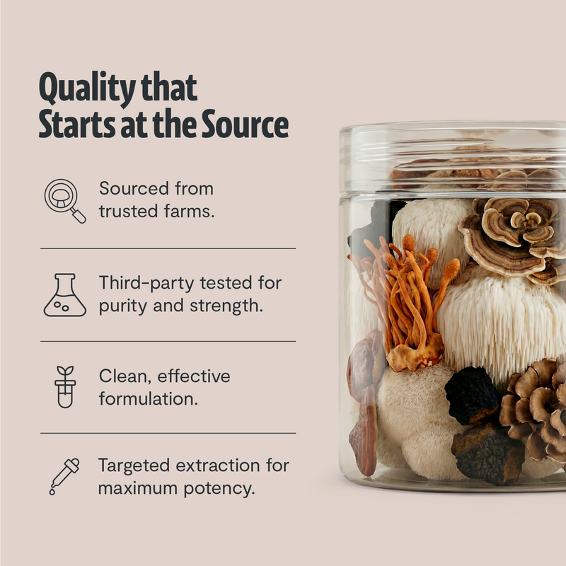 Organic Mushroom Extract Powder Blend-23