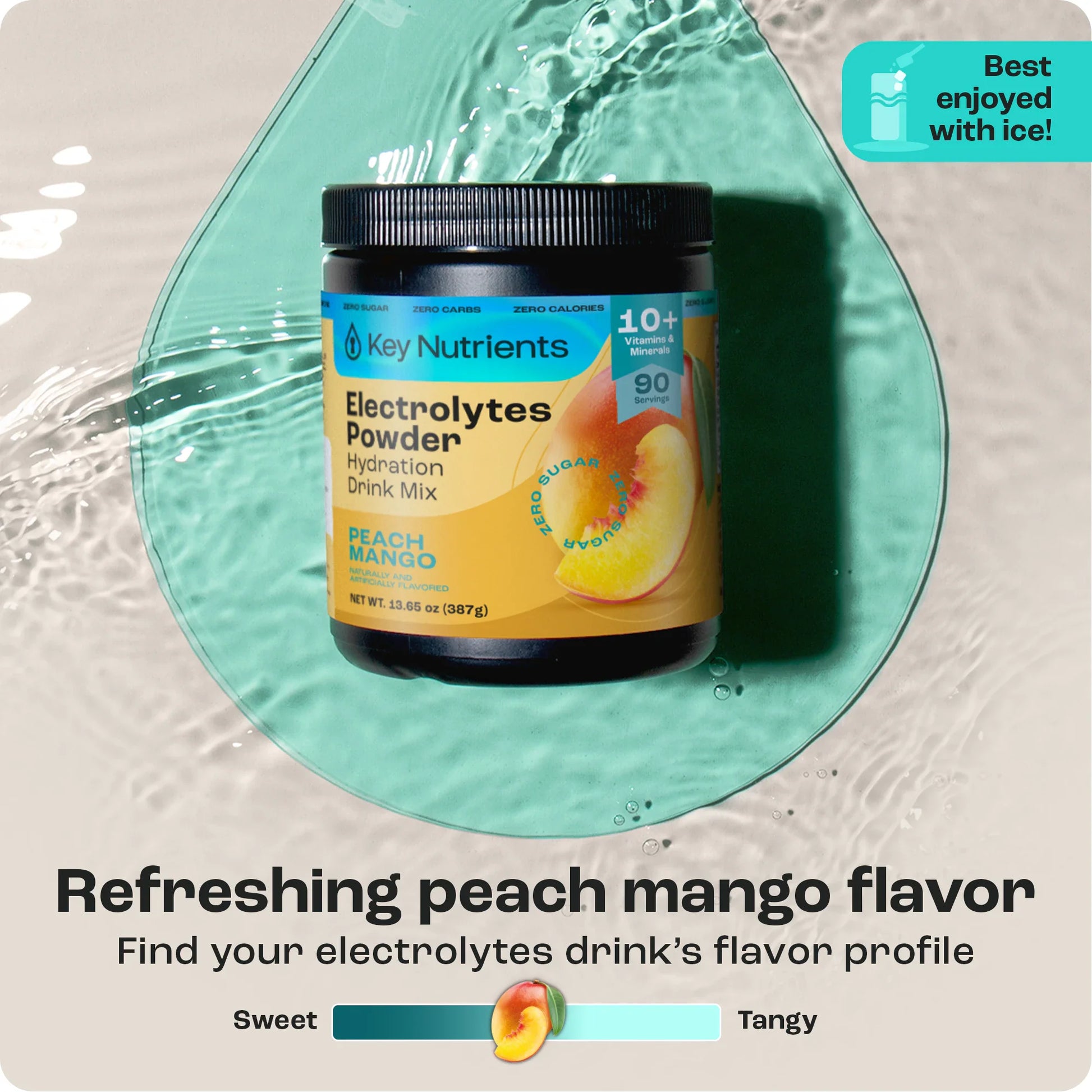 Electrolyte Recovery Plus Powder (Sugar-Free)-92