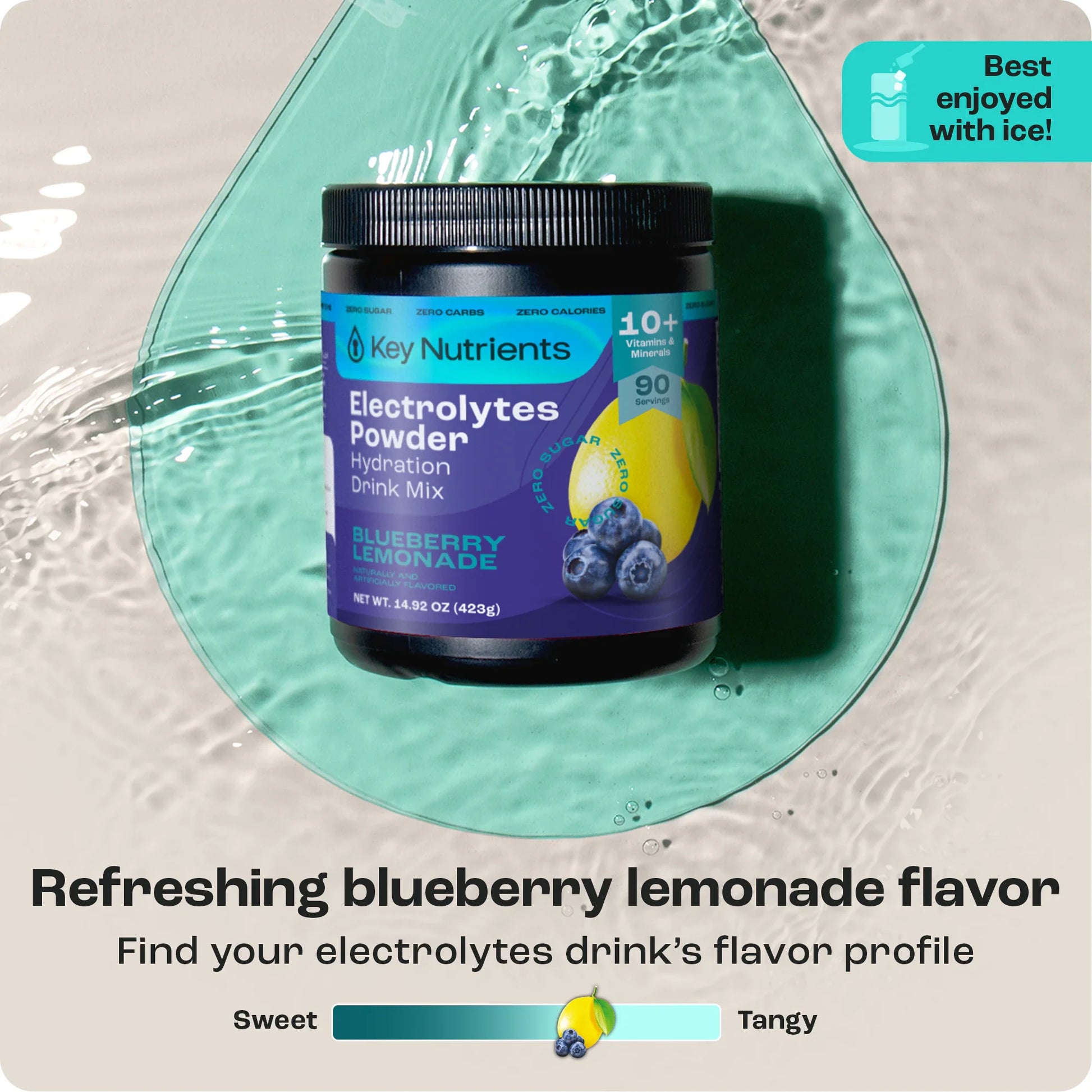 Electrolyte Recovery Plus Powder (Sugar-Free)-110
