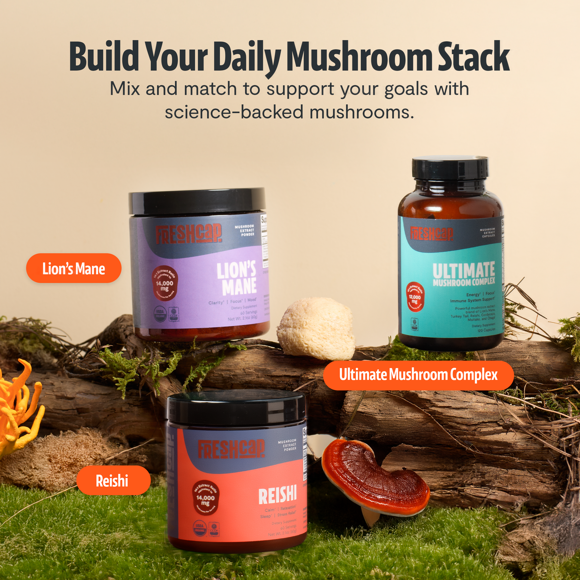 Organic Mushroom Complex Supplement Capsules-42
