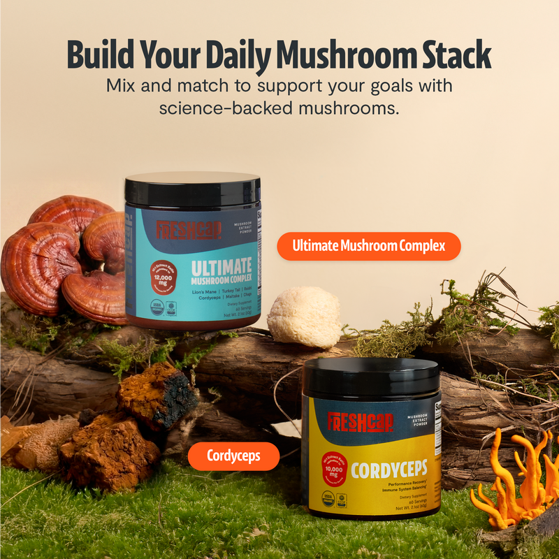 Organic Mushroom Extract Powder Blend-26